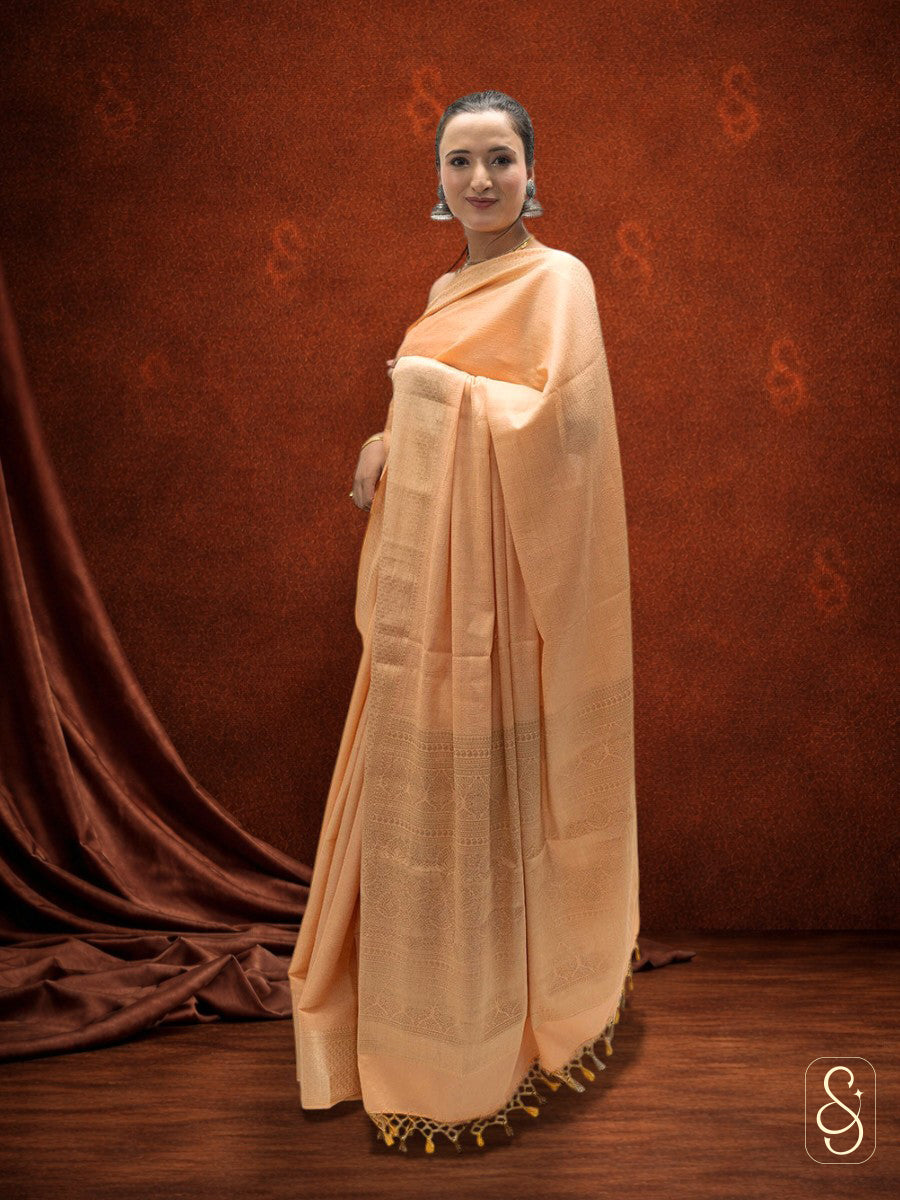 Orange Banarasi georgette saree