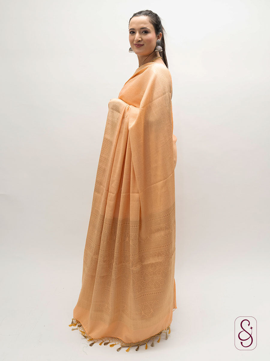 Orange Banarasi georgette saree