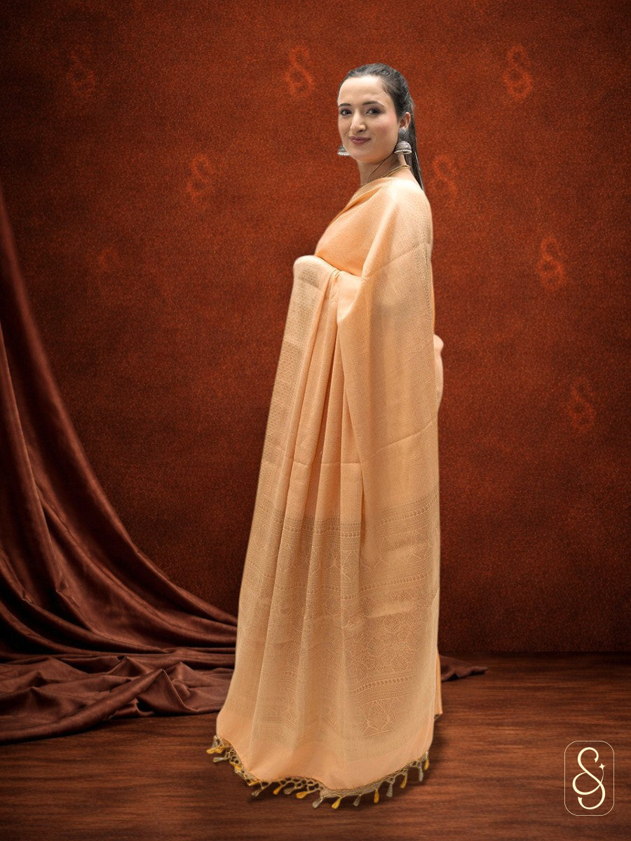 Orange Banarasi georgette saree