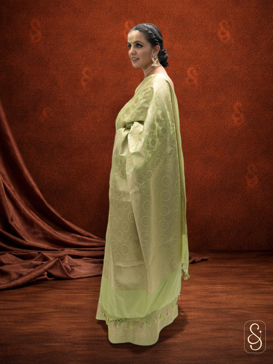 Soft katan Banarsi saree