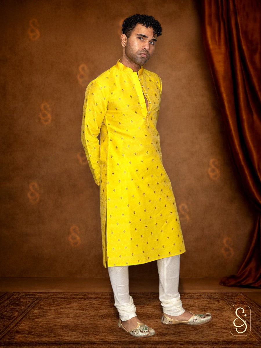 Buti Print Brocade Kurta
