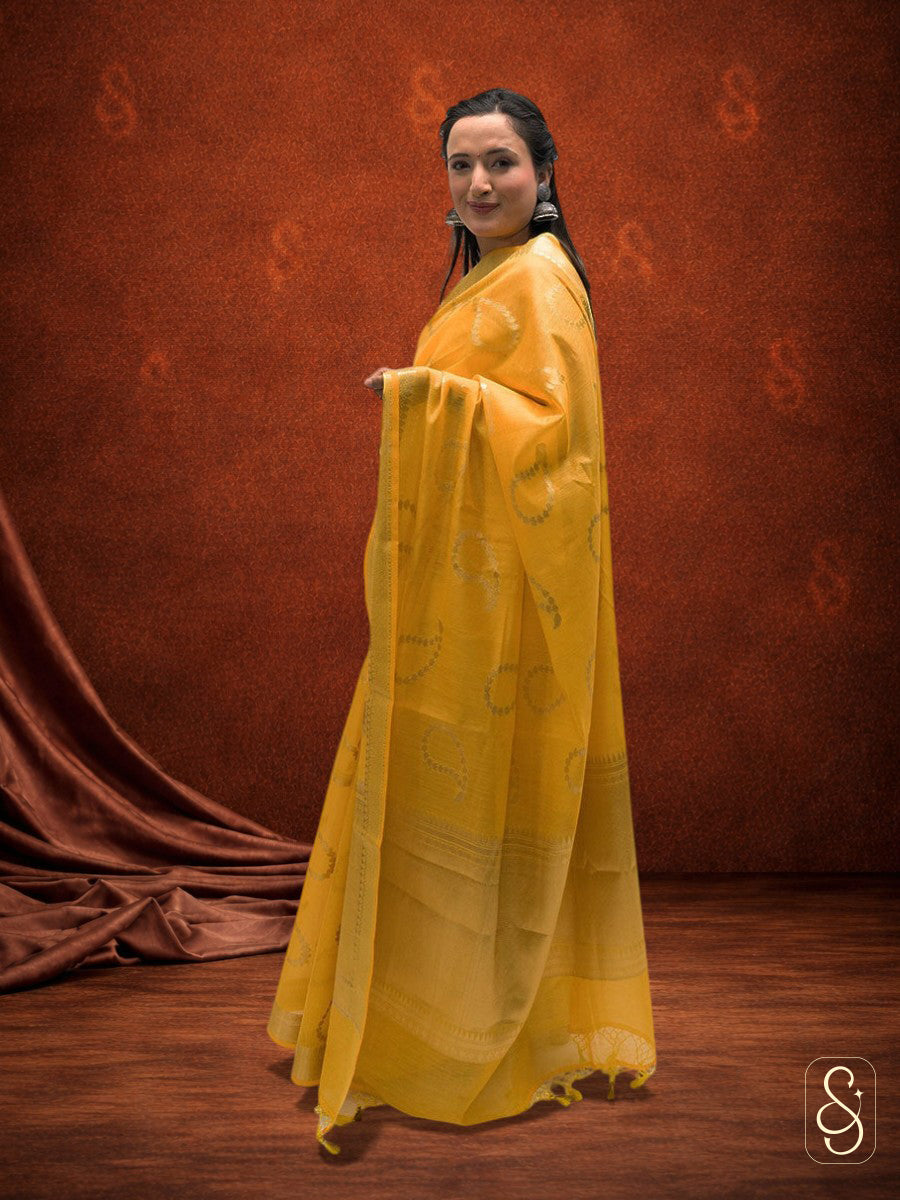 Banarsi saree with cotton mix tissue