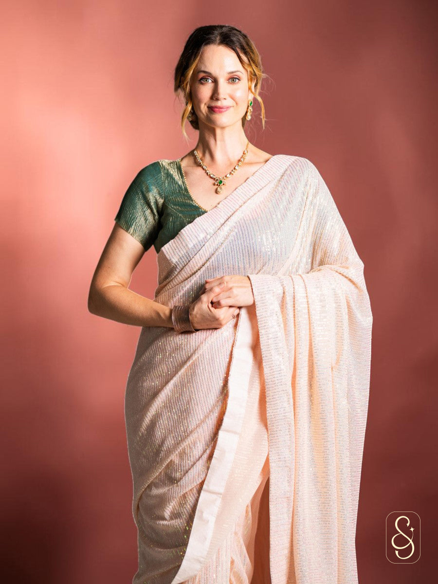 Net sequnce saree