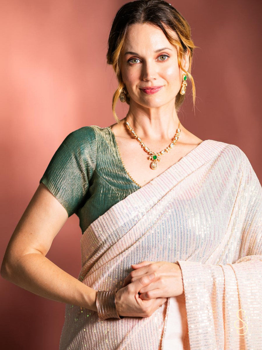 Net sequnce saree