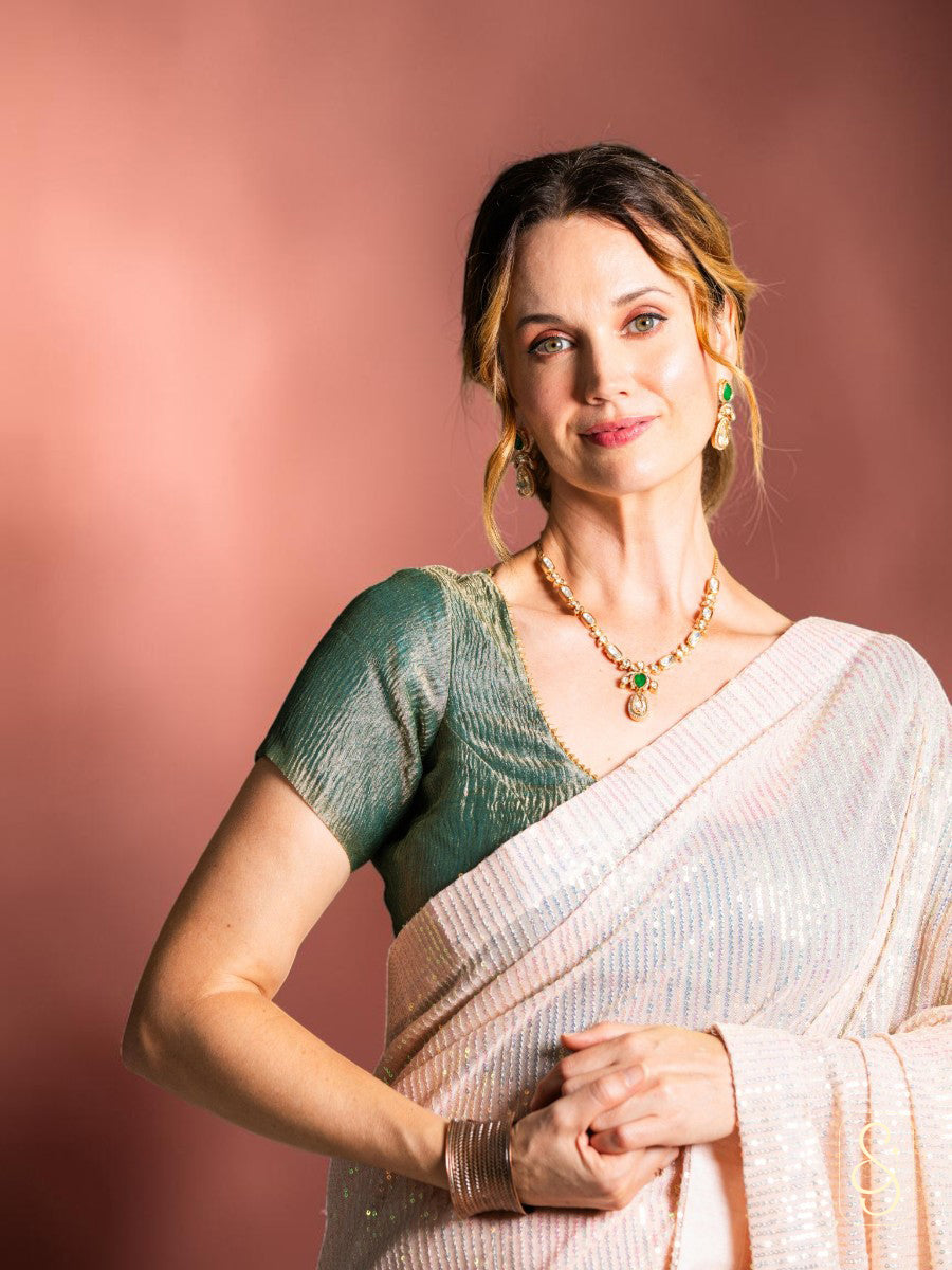 Net sequnce saree