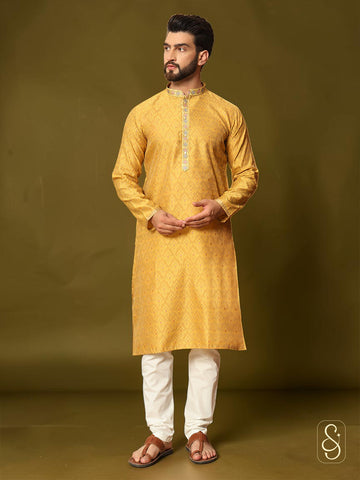 Soft Brocade Embroidered Kurta